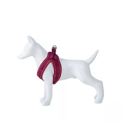 Petnešos Soft, vyšninės, XS, 20-35 cm