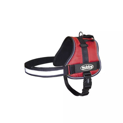 Petnešos šunims Seguro, L, 72-90 cm, raudonos