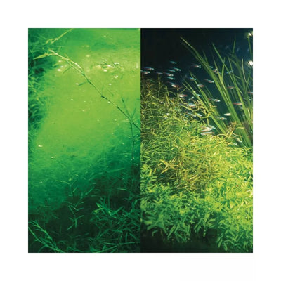 JBL PhosEx Rapid priemonė fosfatams mažinti 250 ml