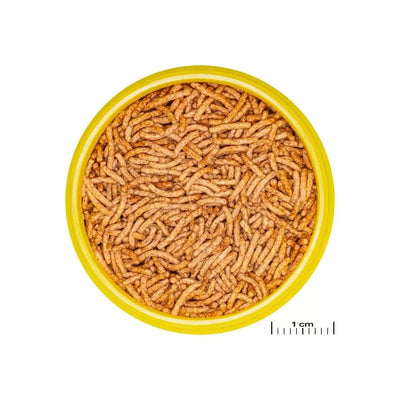 ProNovo Betta Insect Stick S pašaras Betta žuvims (gaideliams) 100 ml