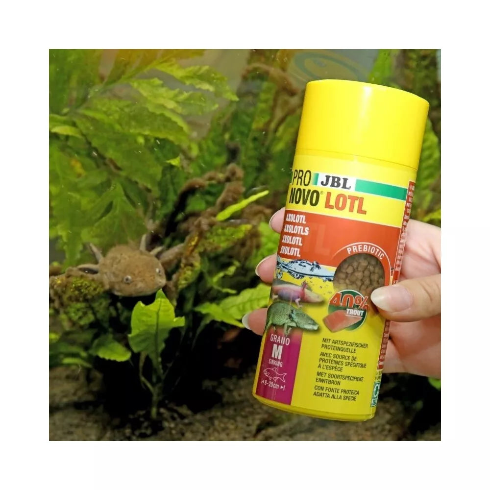 JBL ProNovo Lotl Grano M pašaras aksolotliams 250 ml