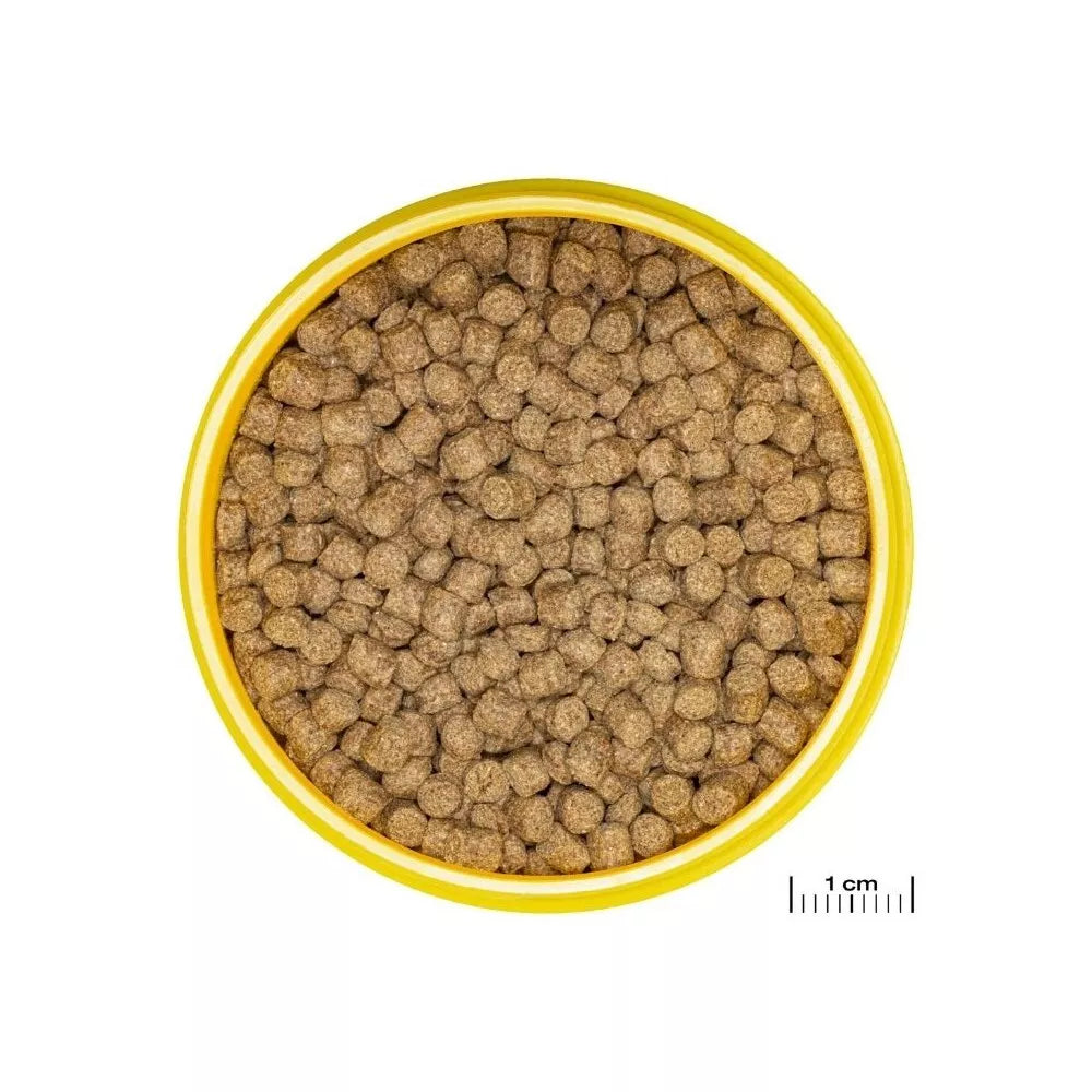 JBL ProNovo Lotl Grano M pašaras aksolotliams 250 ml