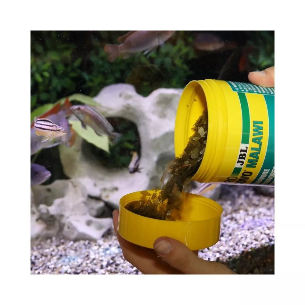 JBL ProNovo Malawi Flakes M pašaras žuvims 1000 ml