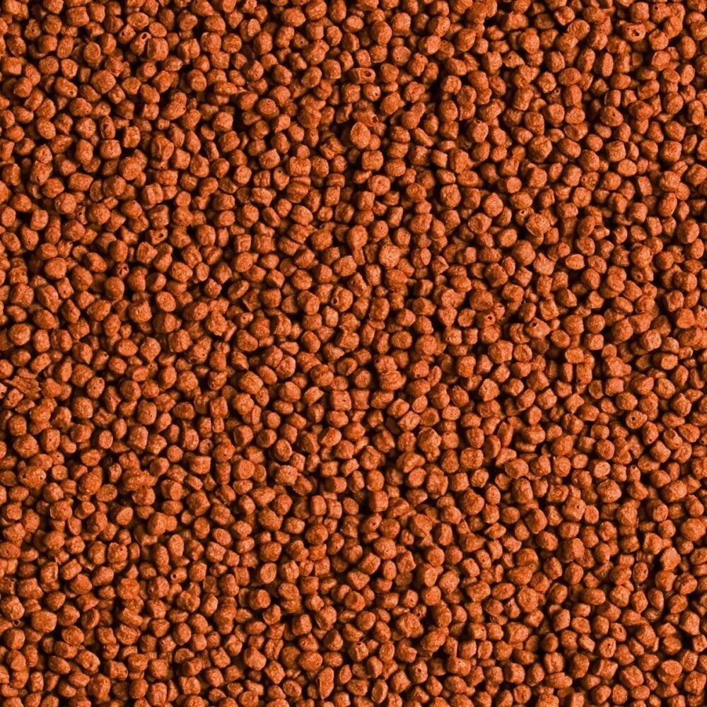 Tropical Red Parrot Granulat maistas žuvims 250 ml