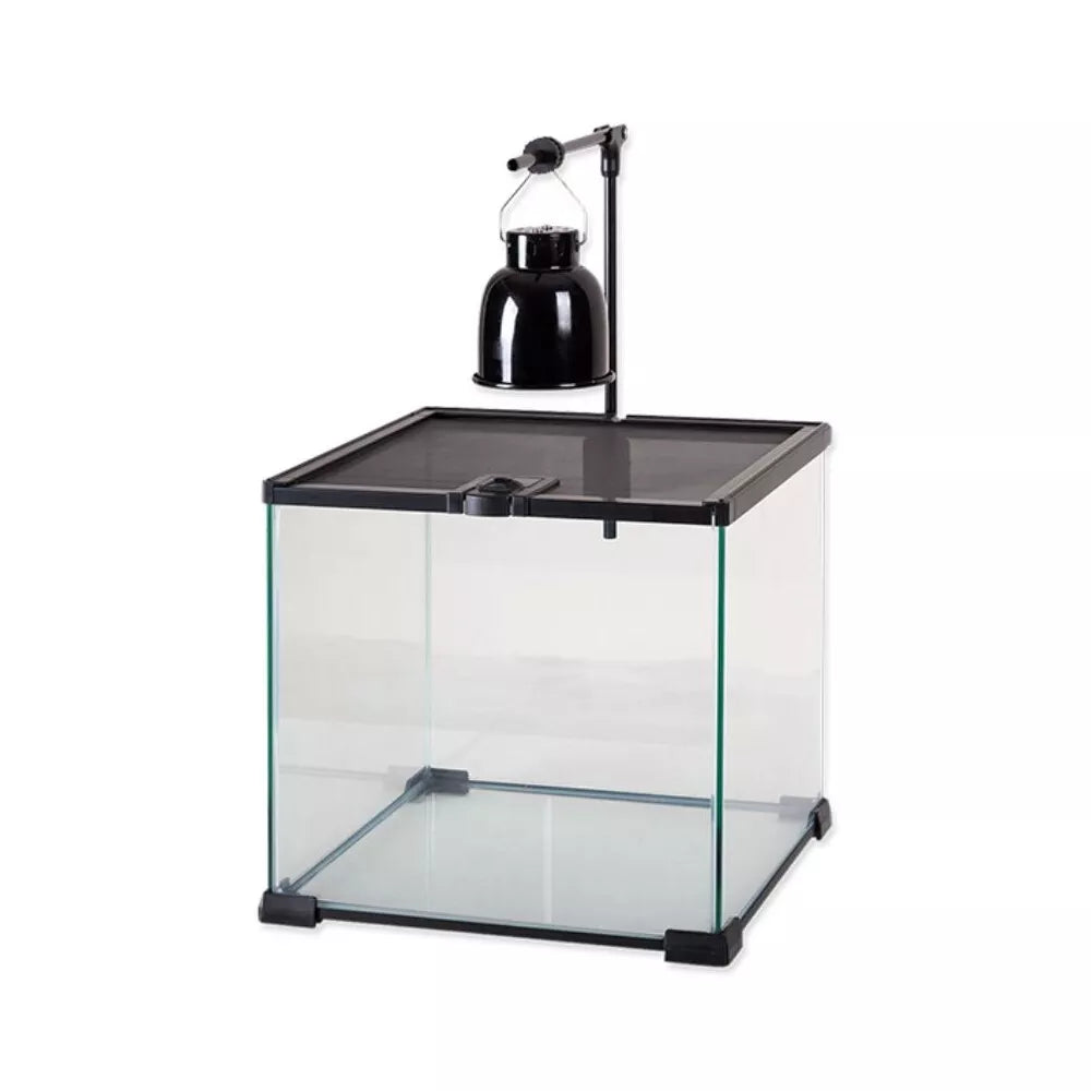 Repti Planet keraminis patronas lempai iki 40 W