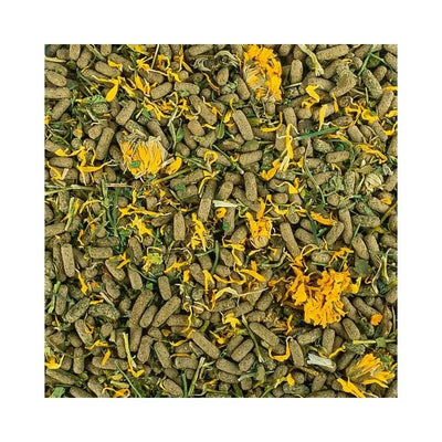 Tropical Soft Line Reptiles Herbivore maistas augalėdžiams ropliams, minkštas  250 ml