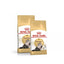 *Royal Canin FBN Persian Adult maistas suaugusioms Persų veislės katėms 0,4 kg