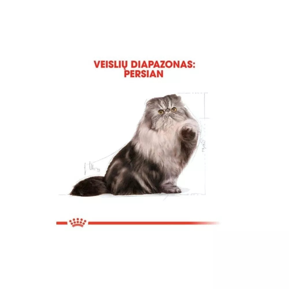 *Royal Canin FBN Persian Adult maistas suaugusioms Persų veislės katėms 0,4 kg