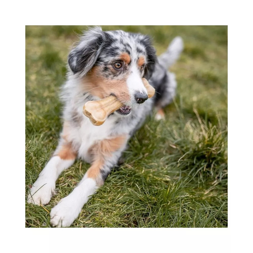 Rudi kaulai šunims iš jaučio odos 16,5 cm (10 vnt.)