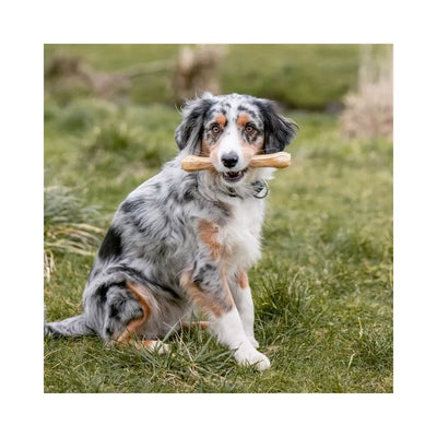 Rudi kaulai šunims iš jaučio odos 21,5 cm (10 vnt.)