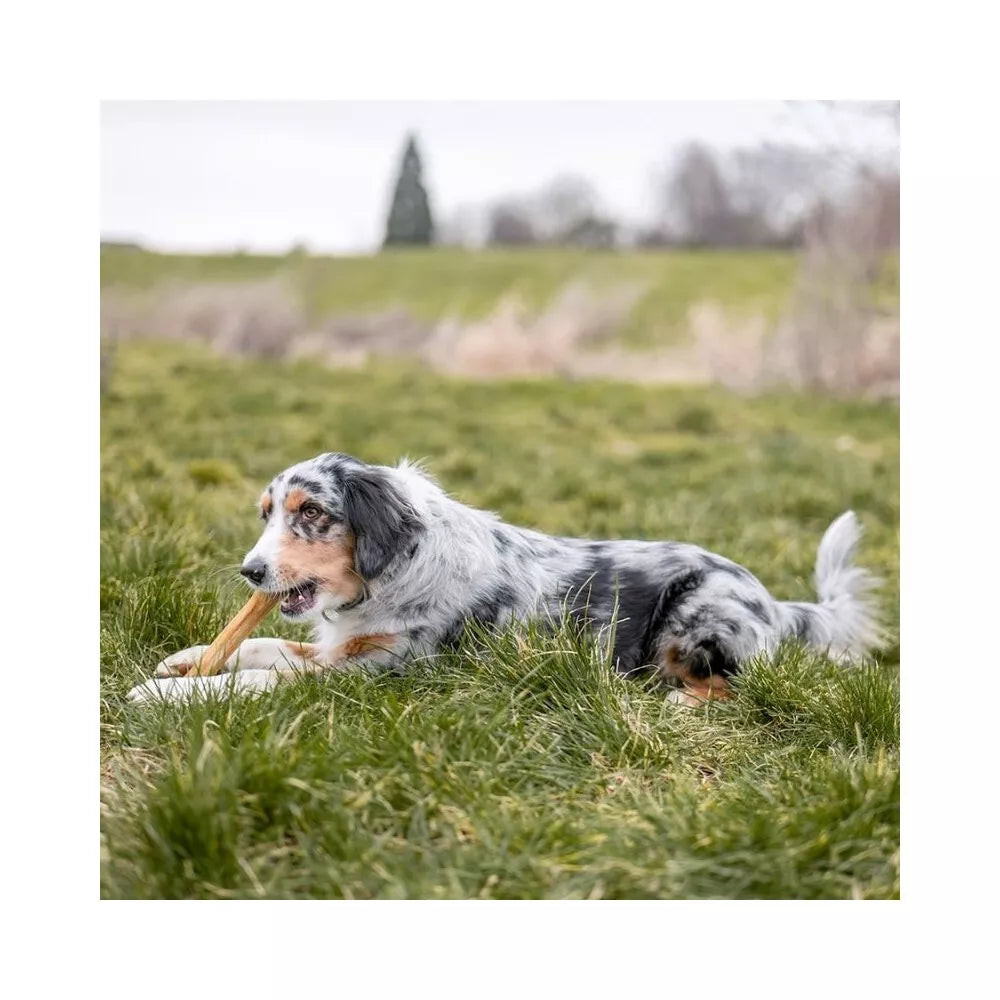 Rudi kaulai šunims iš jaučio odos 26,5 cm (5 vnt.)