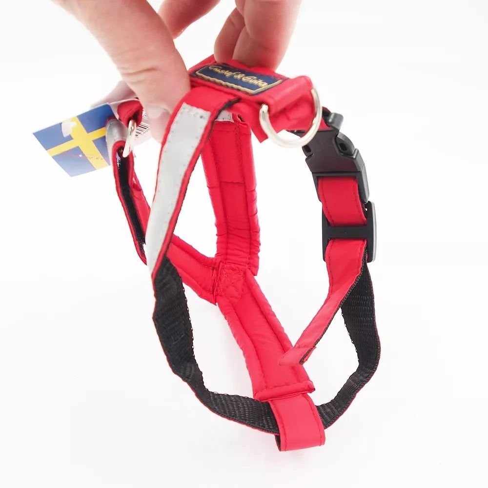 S „Gustaf & Evita“ Petnešos GE441401