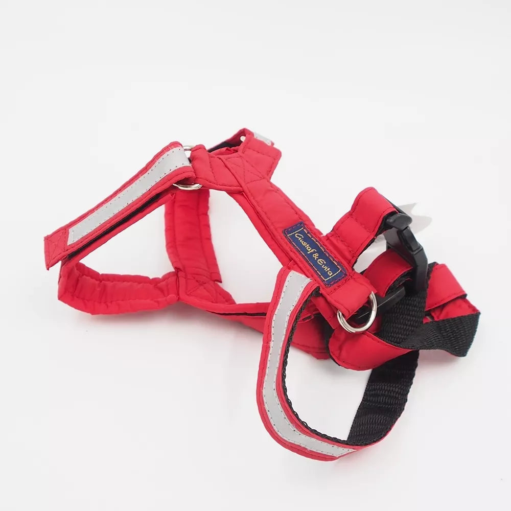 S-M „Gustaf & Evita“ Petnešos GE441403