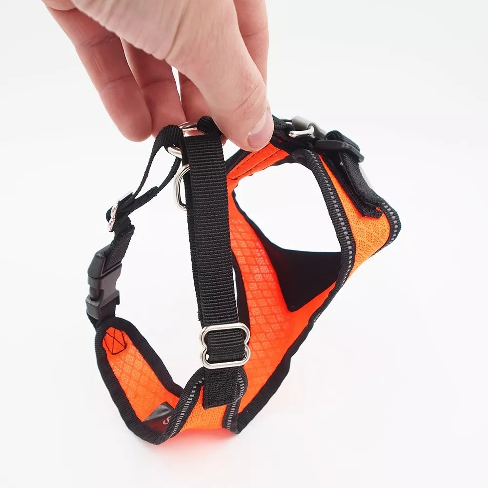 S Petnešos šunims Hunter H92731