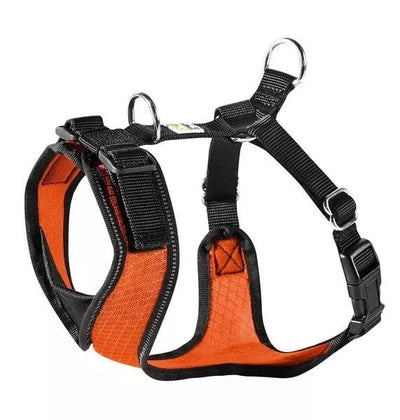 S Petnešos šunims Hunter H92731