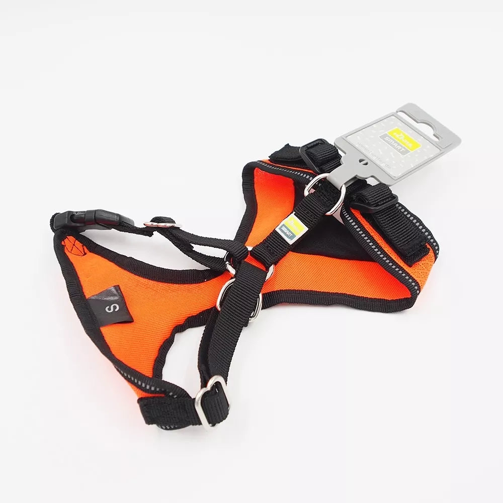 S Petnešos šunims Hunter H92731