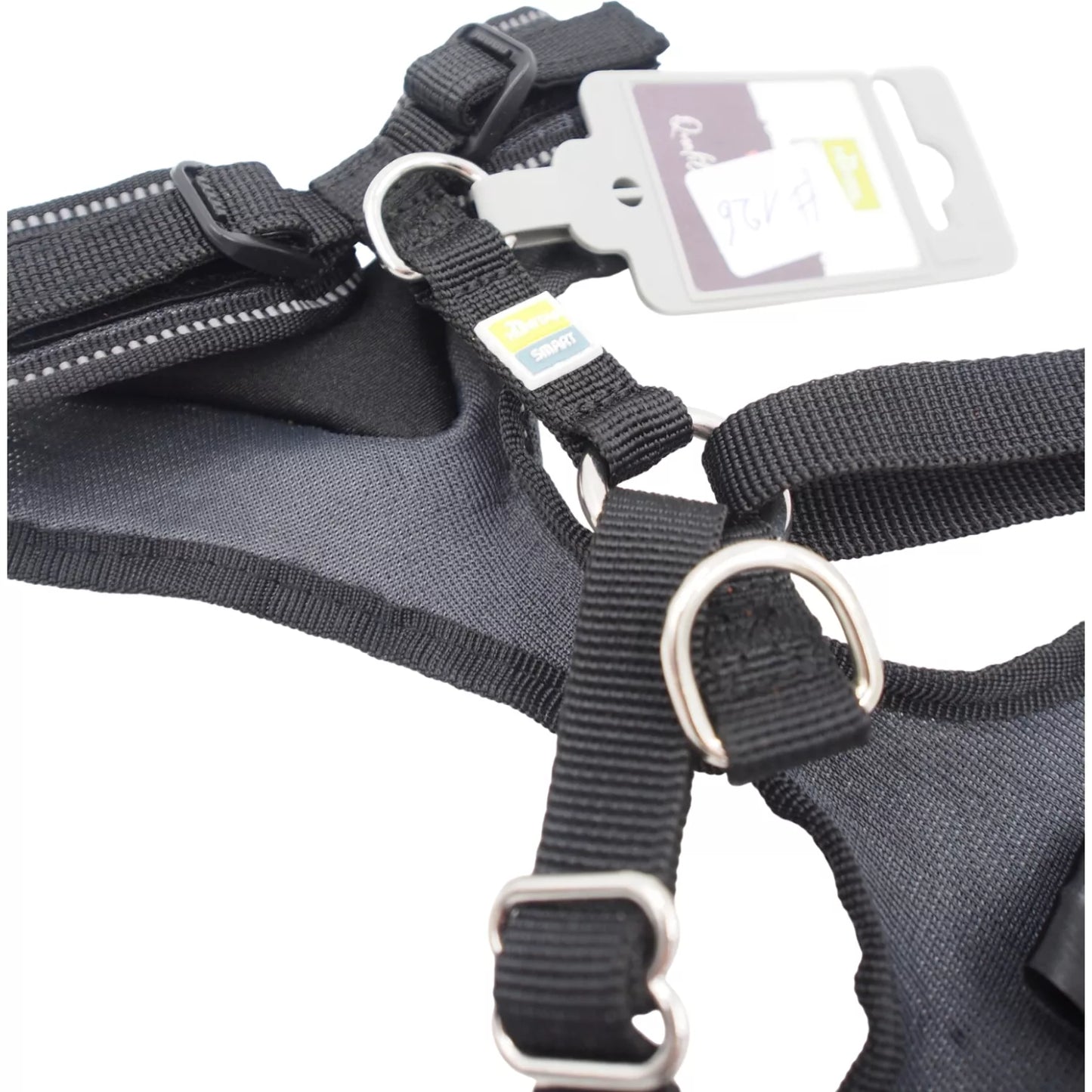 S Petnešos Šunims Hunter