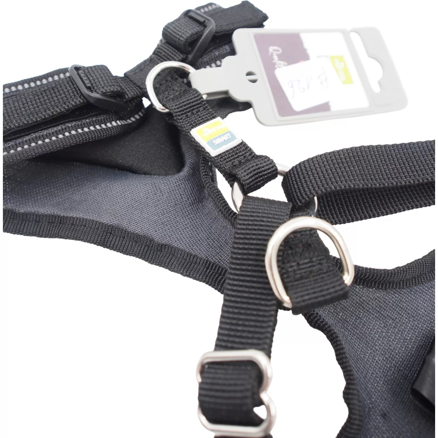 S Petnešos Šunims Hunter