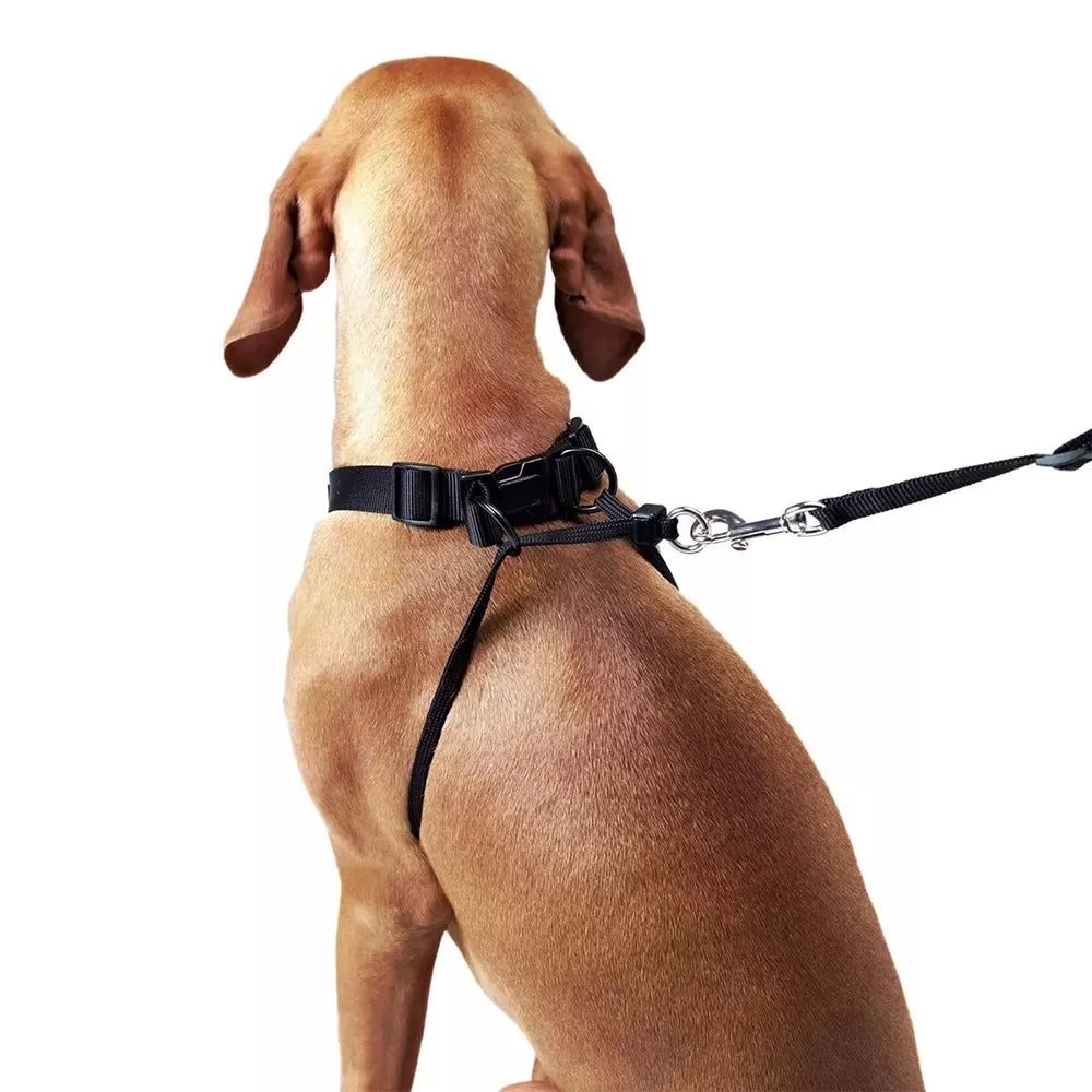 S treniruočių petnešos šunims Hunter