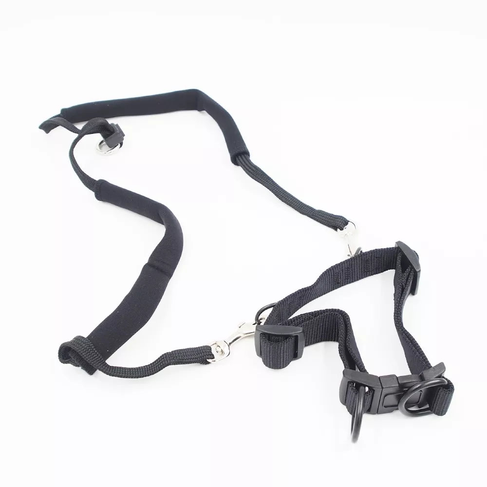 S treniruočių petnešos šunims Hunter