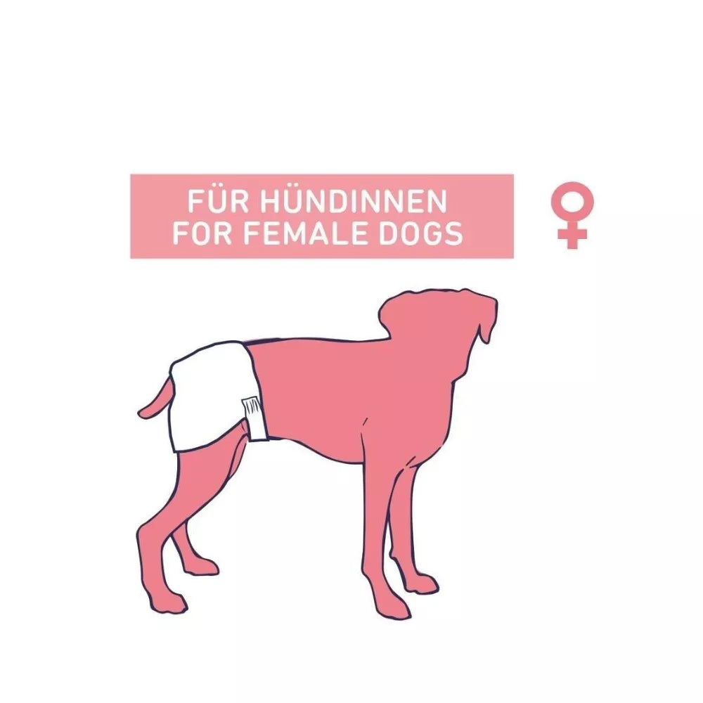 Sauskelnės šunims (kalytėms), 12 vnt., S - M, 28 - 40 cm