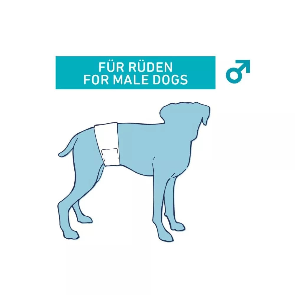 Sauskelnės šunims (patinams), 12 vnt., S - M, 30 - 46 cm