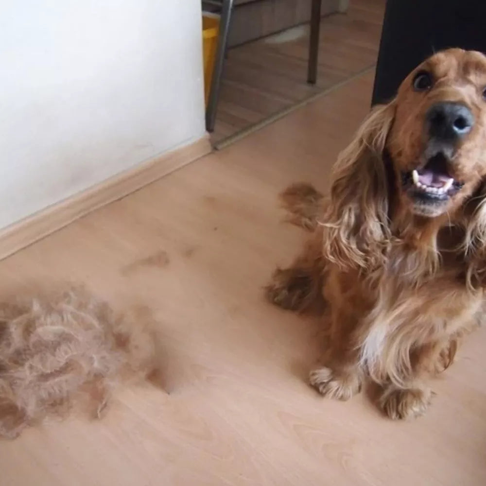 Šepetys – kailio šukos L