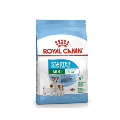 Royal Canin SHN MINI Starter maistas kalytėms ir nujunkomiems šuniukams 8 kg