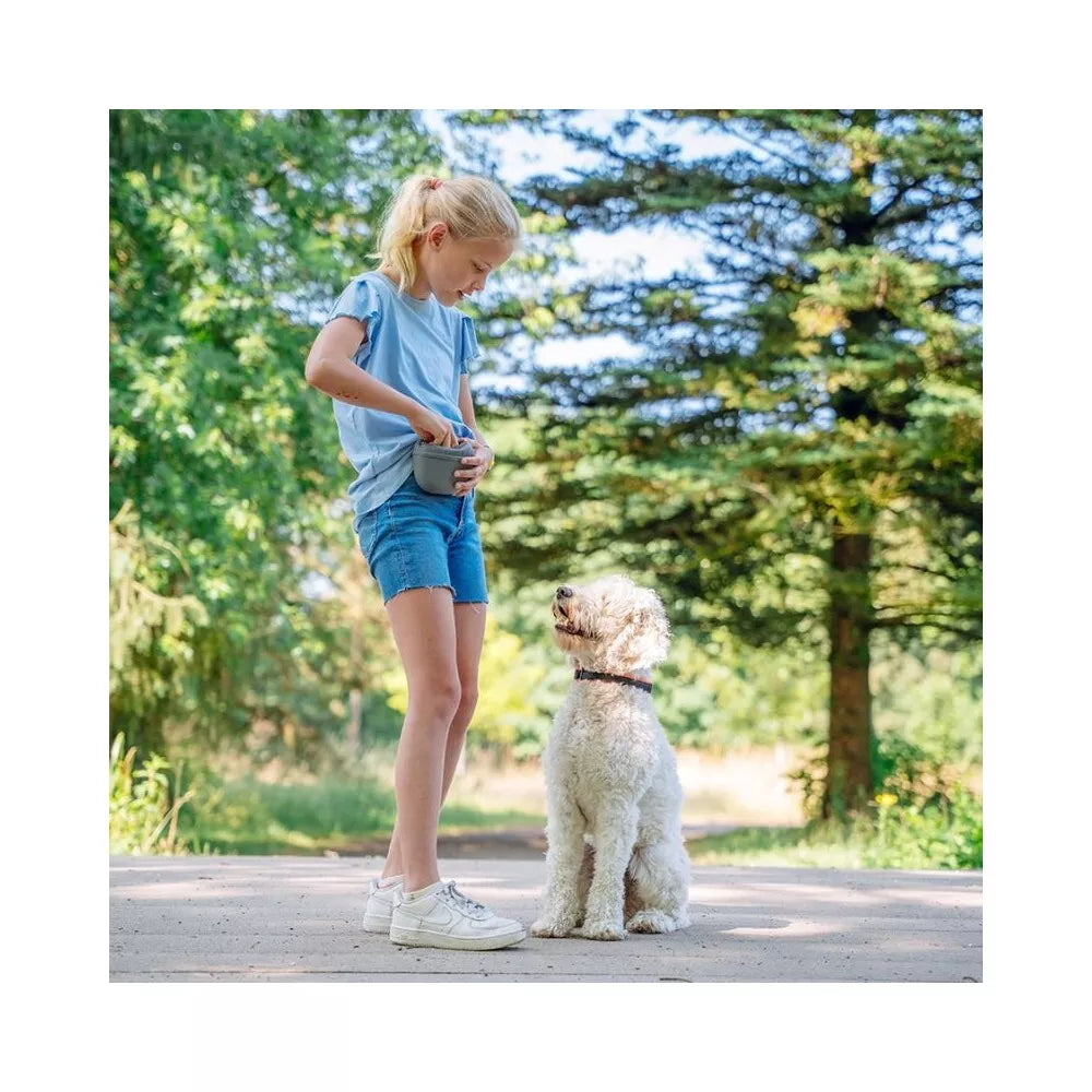 Silikoninis maišelis skanėstams, pilkas, 12,5x4x10,5 cm