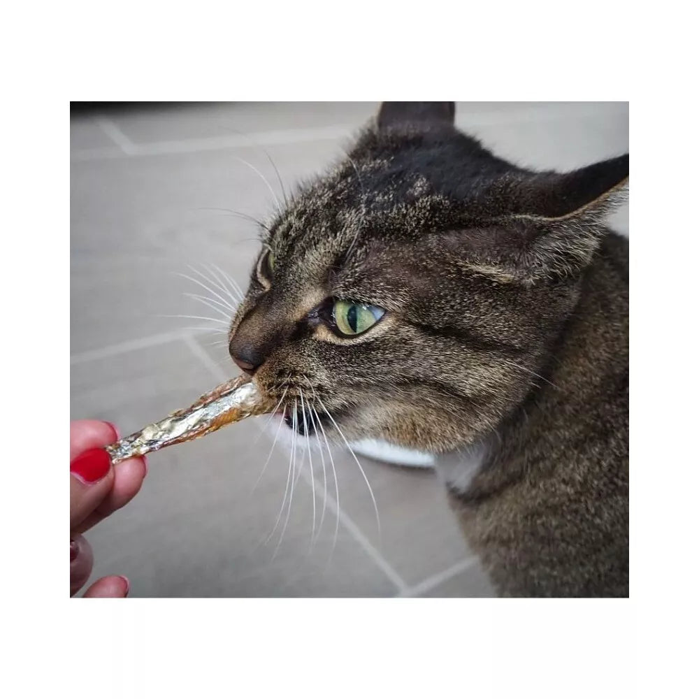 Skanėstas katėms džiovintos žuvytės, 50 g