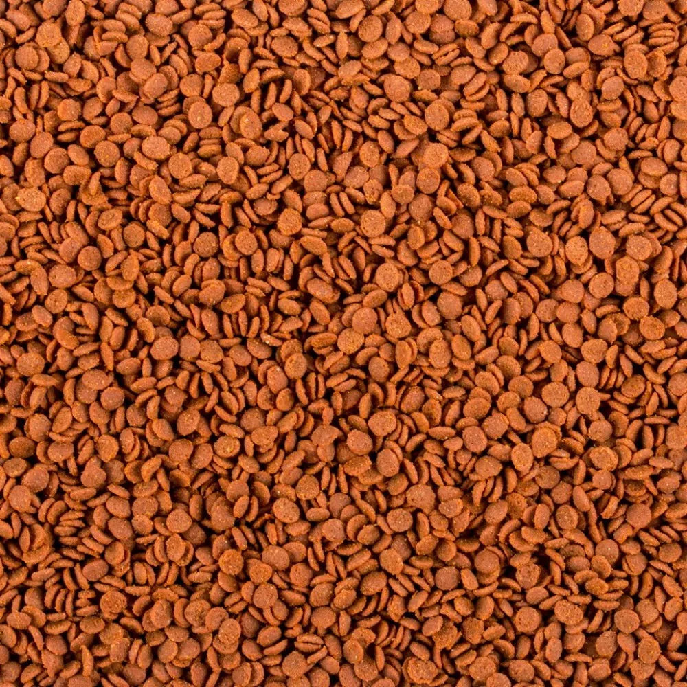 Tropical Soft Line Africa Carnivore minkštas maistas visaėdėms ir mėsėdėms Afrikos žuvims 100 ml