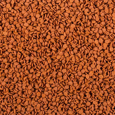 Tropical Soft Line Africa Carnivore minkštas maistas visaėdėms ir mėsėdėms Afrikos žuvims 100 ml