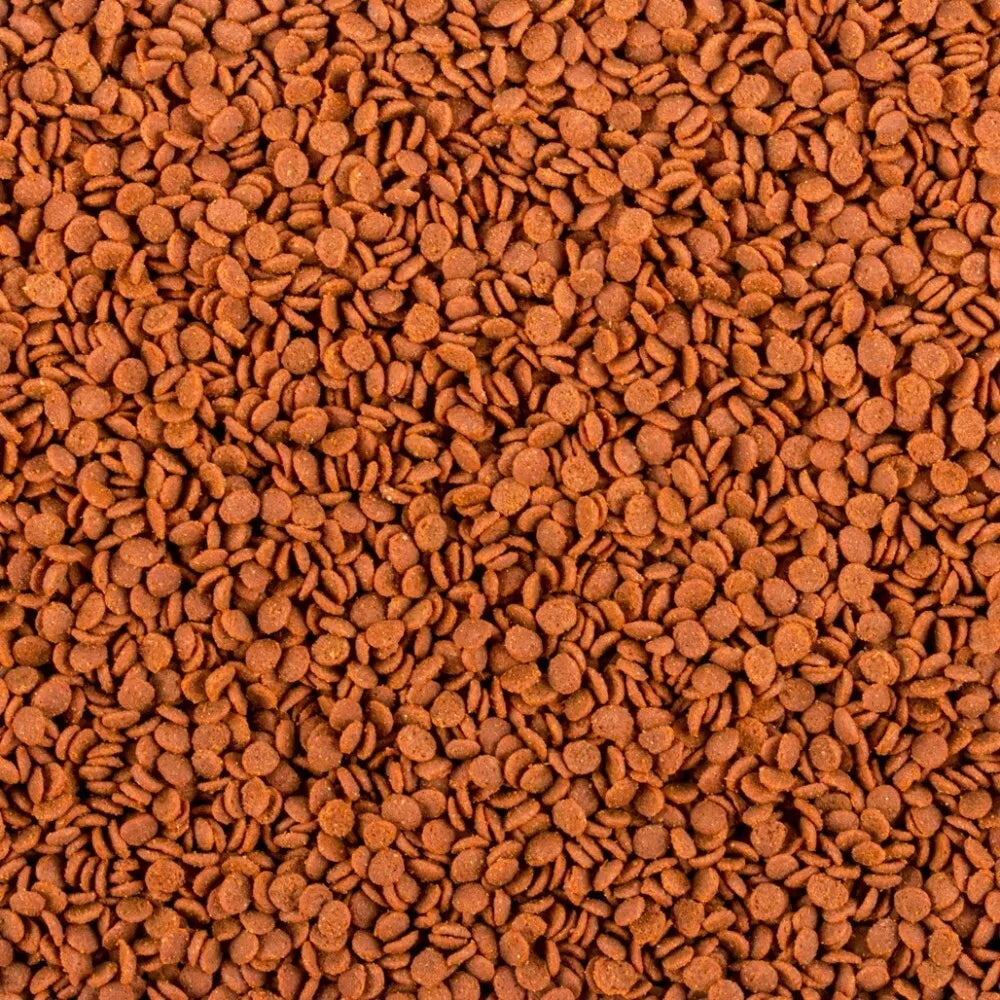 Tropical Soft Line Africa Carnivore minkštas pašaras visaėdėms ir mėsėdėms Afrikos žuvims 250 ml