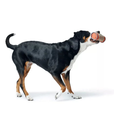 Šuns žaislas "Skanėstinė " HUNTER