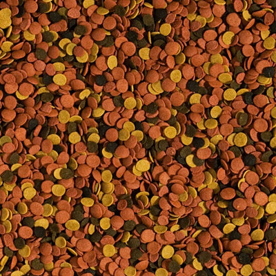 Tropical Supervit Chips maistas su Beta-gliukanu žuvims 100 ml