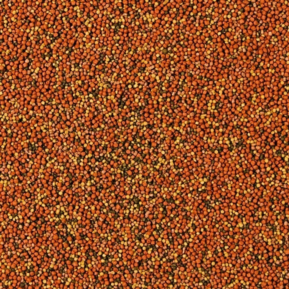 Tropical Supervit Granulat maistas žuvims 100 ml