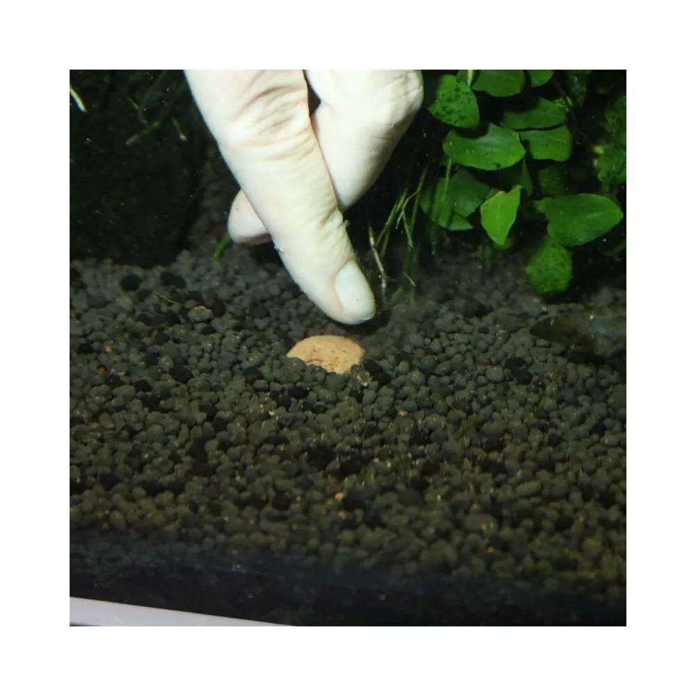 JBL The 7 Balls molio trąšų kamuolėliai 7 vnt.