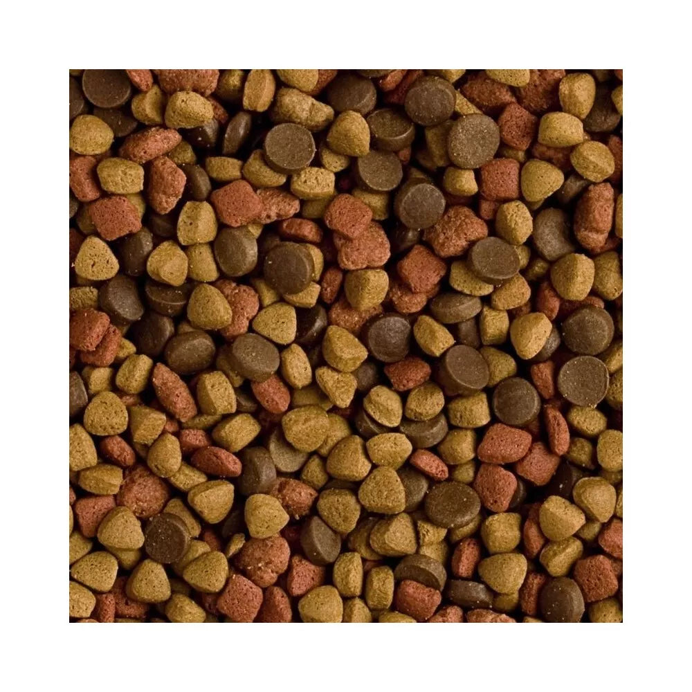 Pašaras šeškams Tropifit Ferret, 2x400 g