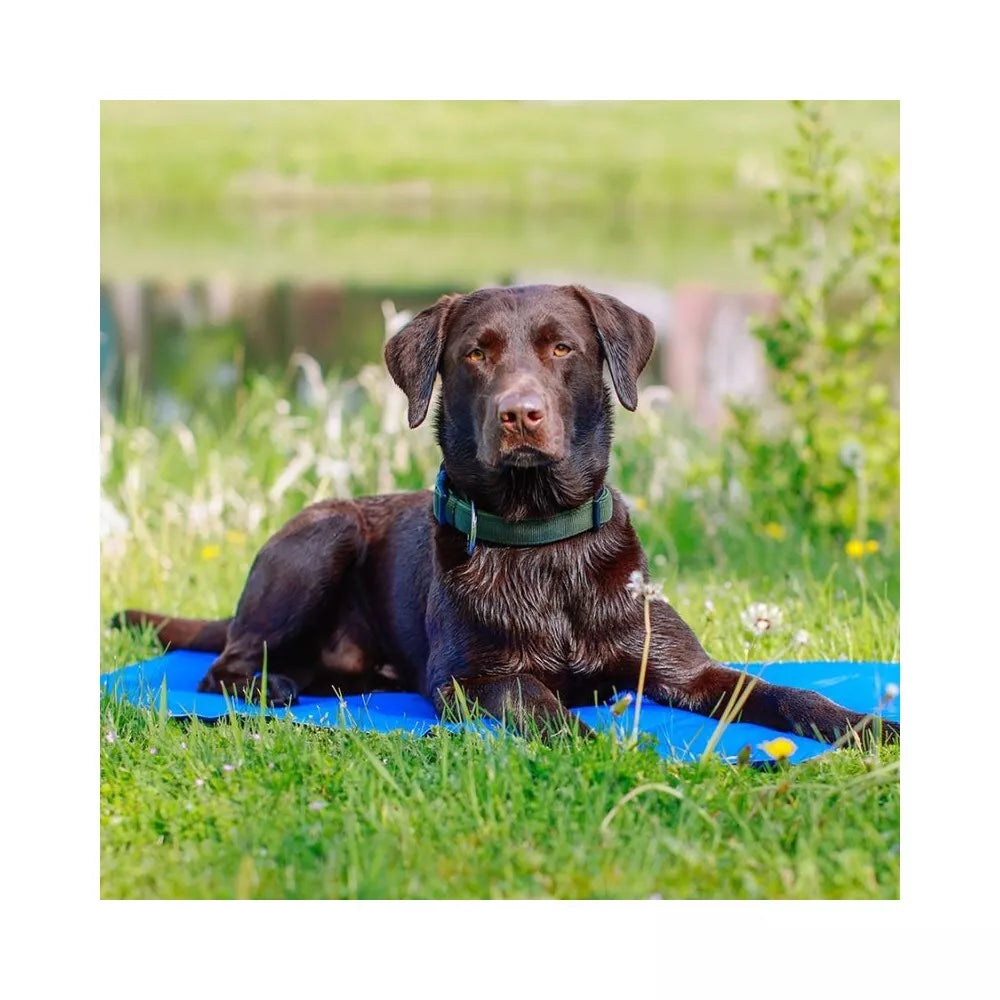 Vėsinantis kilimėlis, 110x70 cm