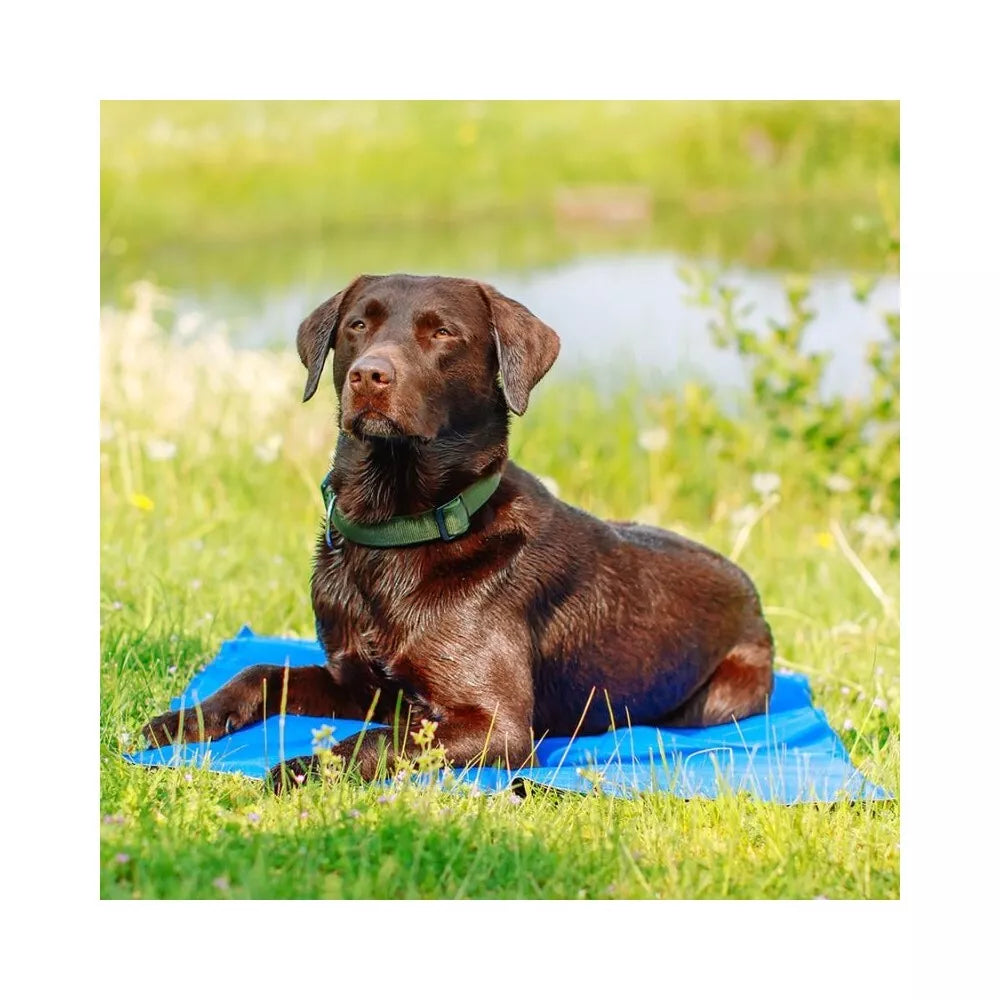 Vėsinantis kilimėlis, 110x70 cm