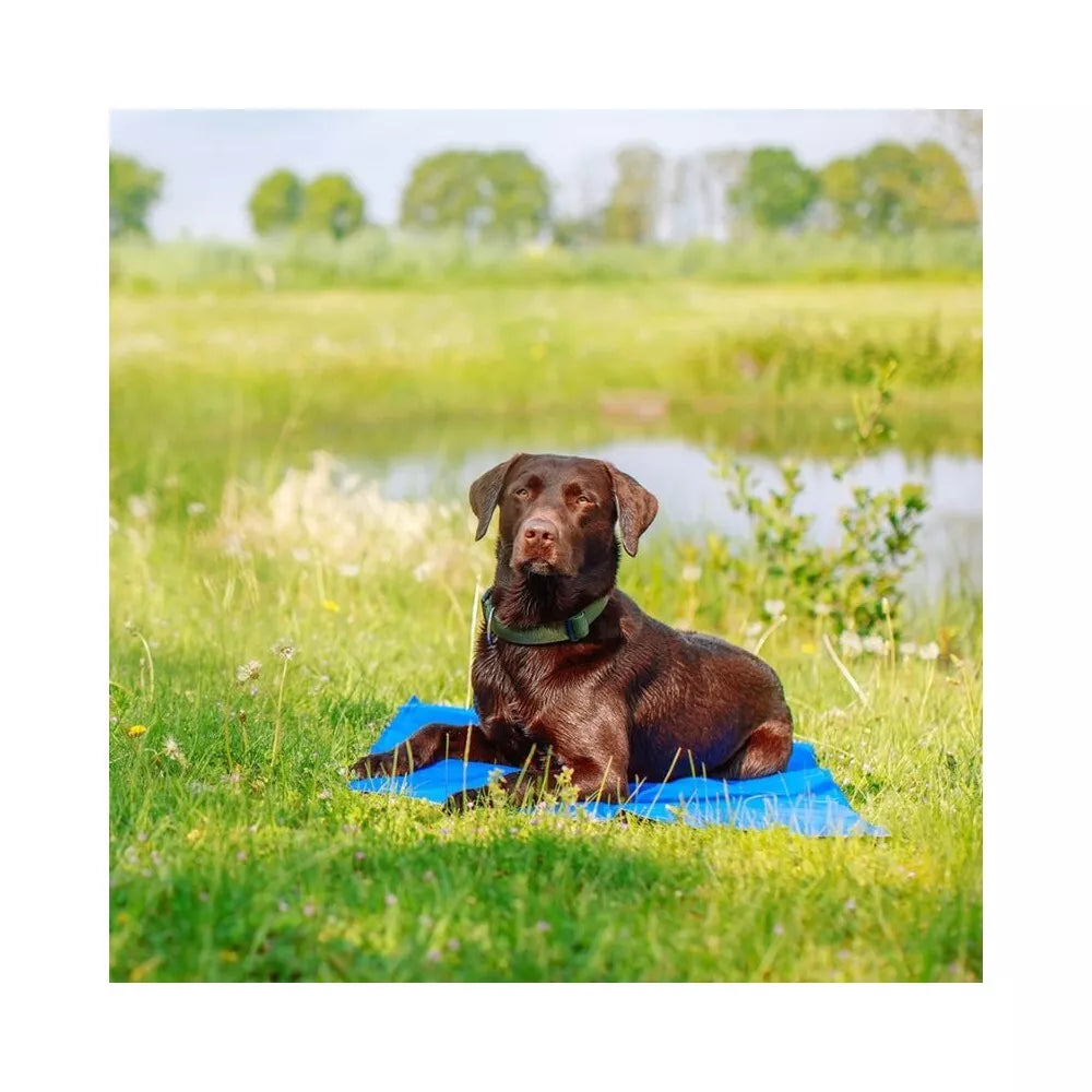 Vėsinantis kilimėlis, 110x70 cm