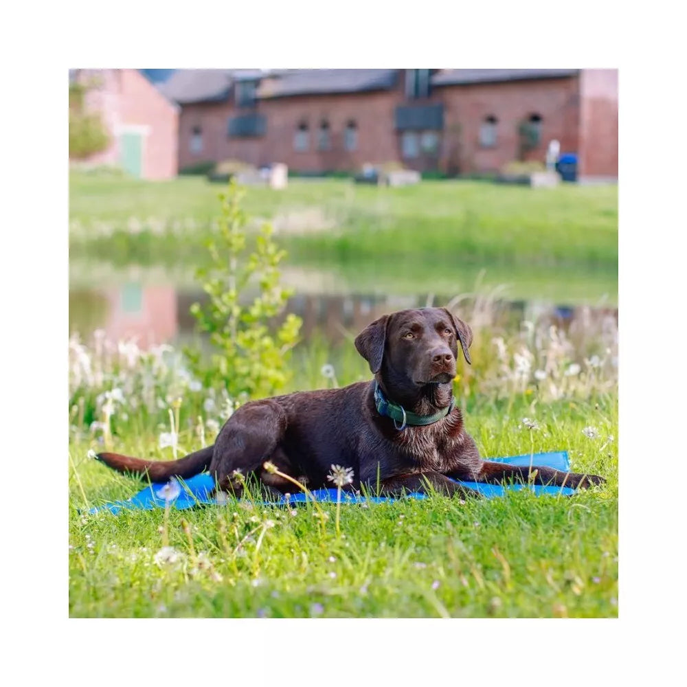 Vėsinantis kilimėlis, 110x70 cm