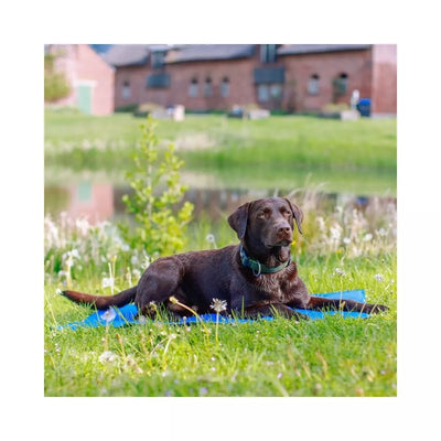 Vėsinantis kilimėlis šunims Ice XL, 110x70 cm