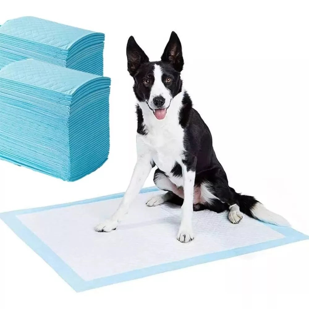 Vienkartinės palutės 50vnt.