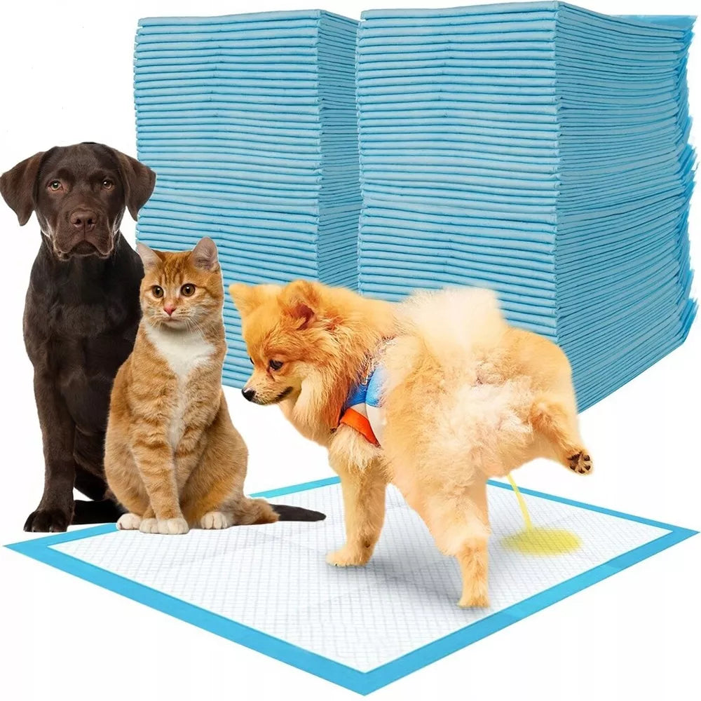 Vienkartinės palutės 50vnt.