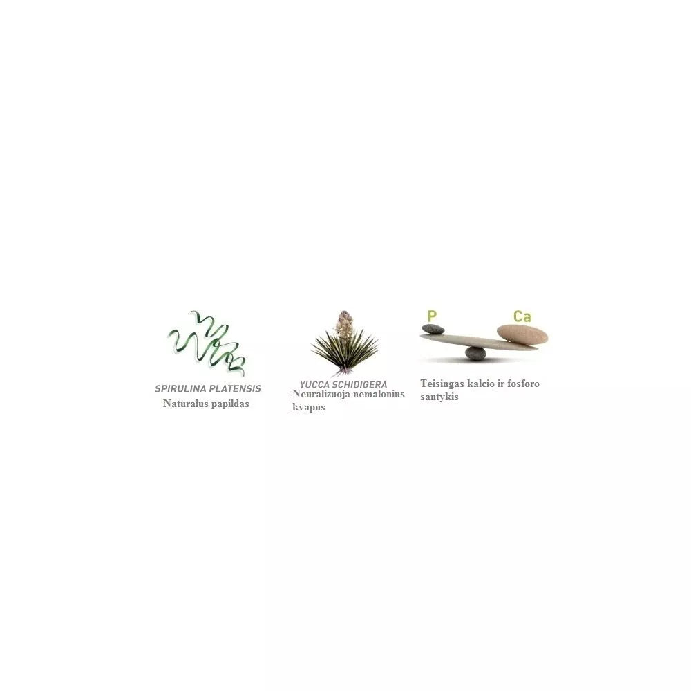 Maistas jauniems dekoratyviniams triušiams Wellness Young Dwarf Rabbits 2x1 kg