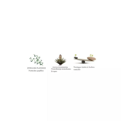 Maistas jauniems dekoratyviniams triušiams Wellness Young Dwarf Rabbits 2x1 kg