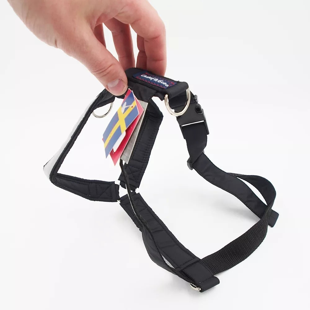 XL Petnešos „Gustaf & Evita“ GE201104