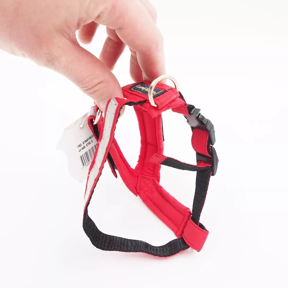 XS Gustaf & Evita“ petnešos