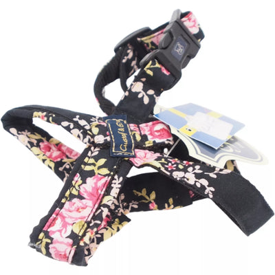 XS Petnešos „Gustaf & Evita“